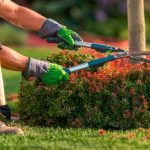 garden services centurion