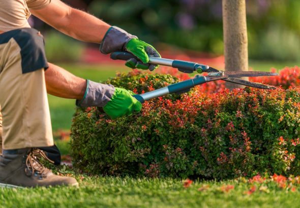 garden services centurion