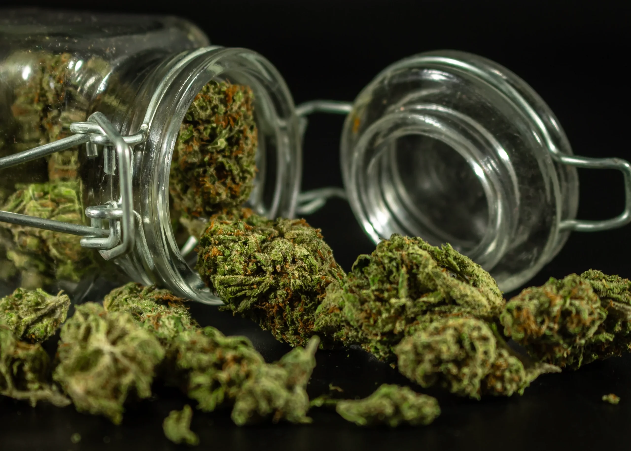 weed dispensary in Santa Ana