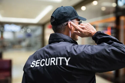 Top Event Security Company Los Angeles Solutions for Large Gatherings
